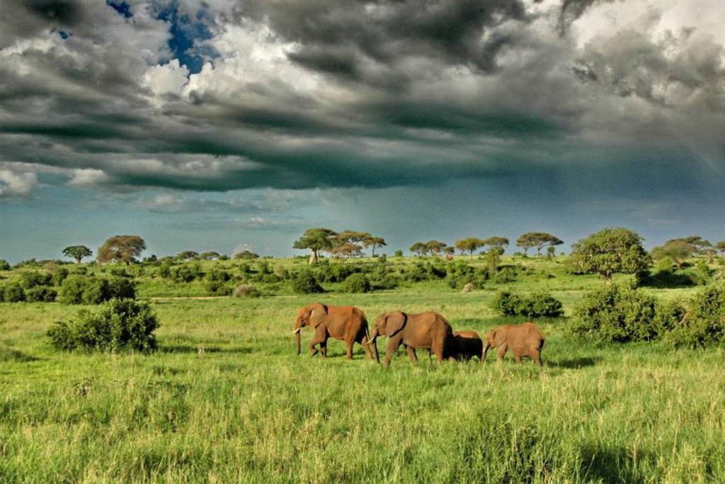 3 DAYS TANZANIA ADVENTURE SAFARIS